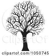 Poster, Art Print Of Silhouetted Bare Winter Tree