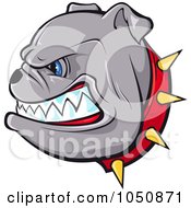 Poster, Art Print Of Growling Bulldog In A Red Spiked Collar