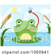 Poster, Art Print Of Frog Catching A Fly On A Pond