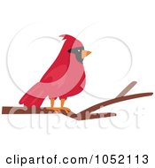 Poster, Art Print Of Red Cardinal On A Branch