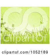 Poster, Art Print Of Green Spring Background Of Butterflies Grasses And Rays