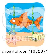 Poster, Art Print Of Orange Fish Above Seaweed A Starfish And Conch