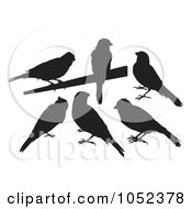 Digital Collage Of Black Silhouetted Canaries