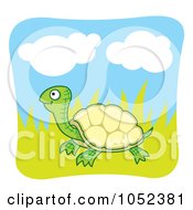 Poster, Art Print Of Happy Tortoise In Grass