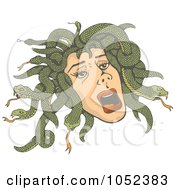 Medusas Head With Snakes