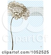 Lilac Flower And Ornate Trim On Blue Daisy Floral Invitation Background