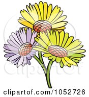 Poster, Art Print Of Trio Of Daisy Flowers