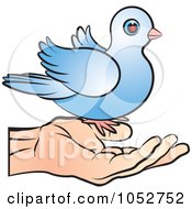 Blue Dove On A Hand