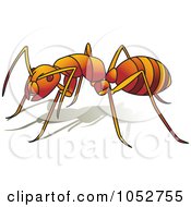 Poster, Art Print Of Red Ant