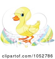 Poster, Art Print Of Cute Easter Duckling