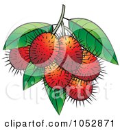 Ripe Red Rambutan Fruits