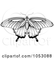 Poster, Art Print Of Black And White Butterfly - 4