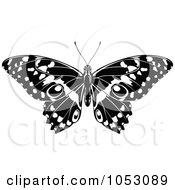 Poster, Art Print Of Black And White Butterfly - 1