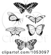 Royalty Free Vector Clip Art Illustration Of A Collage Of Black And White Butterflies