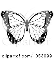 Poster, Art Print Of Black And White Butterfly - 5