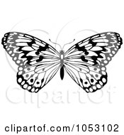 Poster, Art Print Of Black And White Butterfly - 6