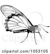 Royalty Free Vector Clip Art Illustration Of A Black And White Butterfly 2