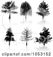 Poster, Art Print Of Digital Collage Of Black Tree Silhouettes And Reflections
