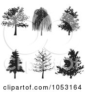 Digital Collage Of Black Tree Silhouettes