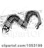 Black And White Woodcut Styled Centipede