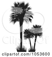 Poster, Art Print Of Silhouetted Palm Trees