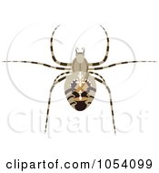 Poster, Art Print Of Spider