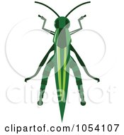 Poster, Art Print Of Grasshopper