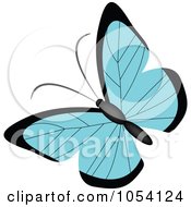 Poster, Art Print Of Blue And Black Butterfly