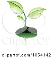 Poster, Art Print Of Dewy Green Plant In Soil