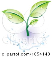 Royalty Free Vector Clip Art Illustration Of A Dewy Green Plant In A Puddle Of Water by vectorace #COLLC1054143-0166