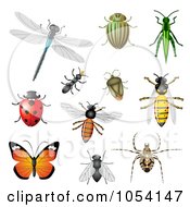 Poster, Art Print Of Digital Collage Of Insects