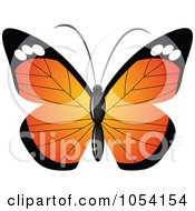 Poster, Art Print Of Butterfly