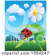 Poster, Art Print Of Ladybug On A Daisy Leaf