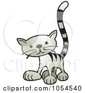 Tabby Cat