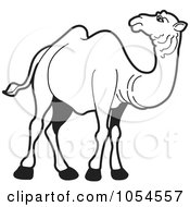 Royalty Free Vector Clip Art Illustration Of An Outlined Camel 2 by Lal Perera