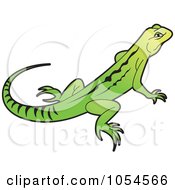 Poster, Art Print Of Green And Yellow Lizard