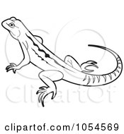 Poster, Art Print Of Outlined Lizard