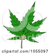 Pot Leaf
