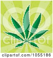 Poster, Art Print Of Cannabis Leaf On Green Rays
