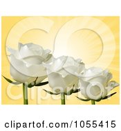 Poster, Art Print Of Three White Roses On Yellow Rays