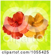 Poster, Art Print Of Orange And Red Hibiscus Flowers On Green Rays