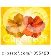 Poster, Art Print Of Orange And Red Hibiscus Flowers Over Yellow Rays