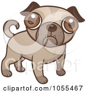 Poster, Art Print Of Cute Pug Puppy