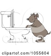 Poster, Art Print Of Dog Drinking From A Toilet