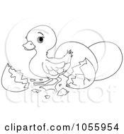Poster, Art Print Of Coloring Page Outline Of A Cute Easter Duck Hatching