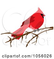 Royalty Free Vector Clip Art Illustration Of A Red Cardinal On A Bare Branch by Pams Clipart
