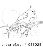Royalty Free Vector Clip Art Illustration Of An Outline Of A Cardinal On A Bare Branch by Pams Clipart
