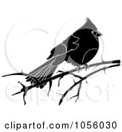 Royalty Free Vector Clip Art Illustration Of A Black And White Cardinal On A Bare Branch