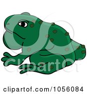 Poster, Art Print Of Toad With A Pouch Of Air In His Throat
