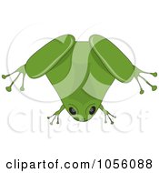 Poster, Art Print Of Chubby Green Frog